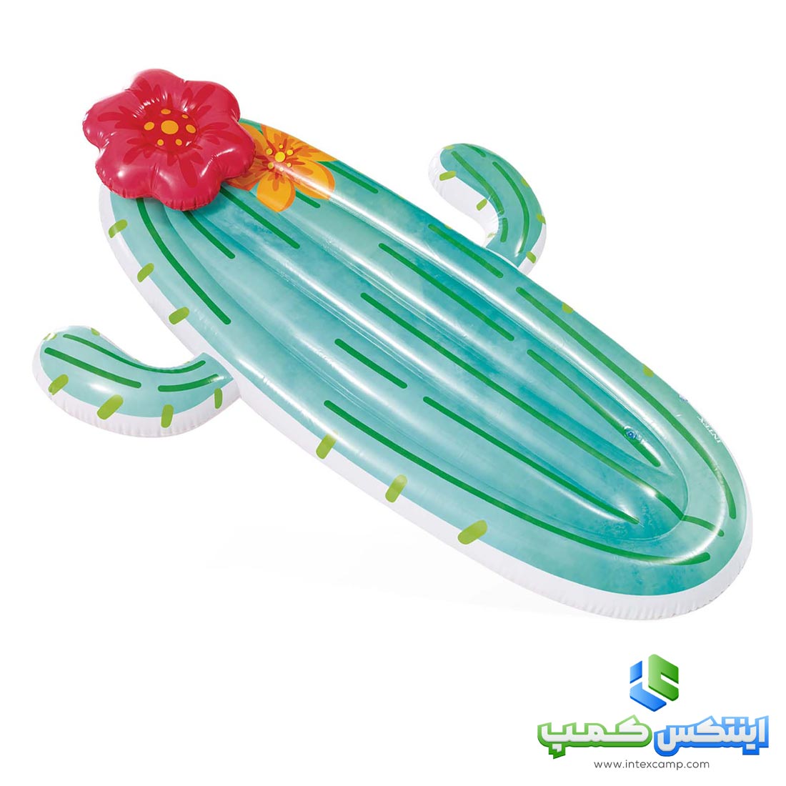 تشک بادی روی اب اینتکس طرح کاکتوس کد 58793
