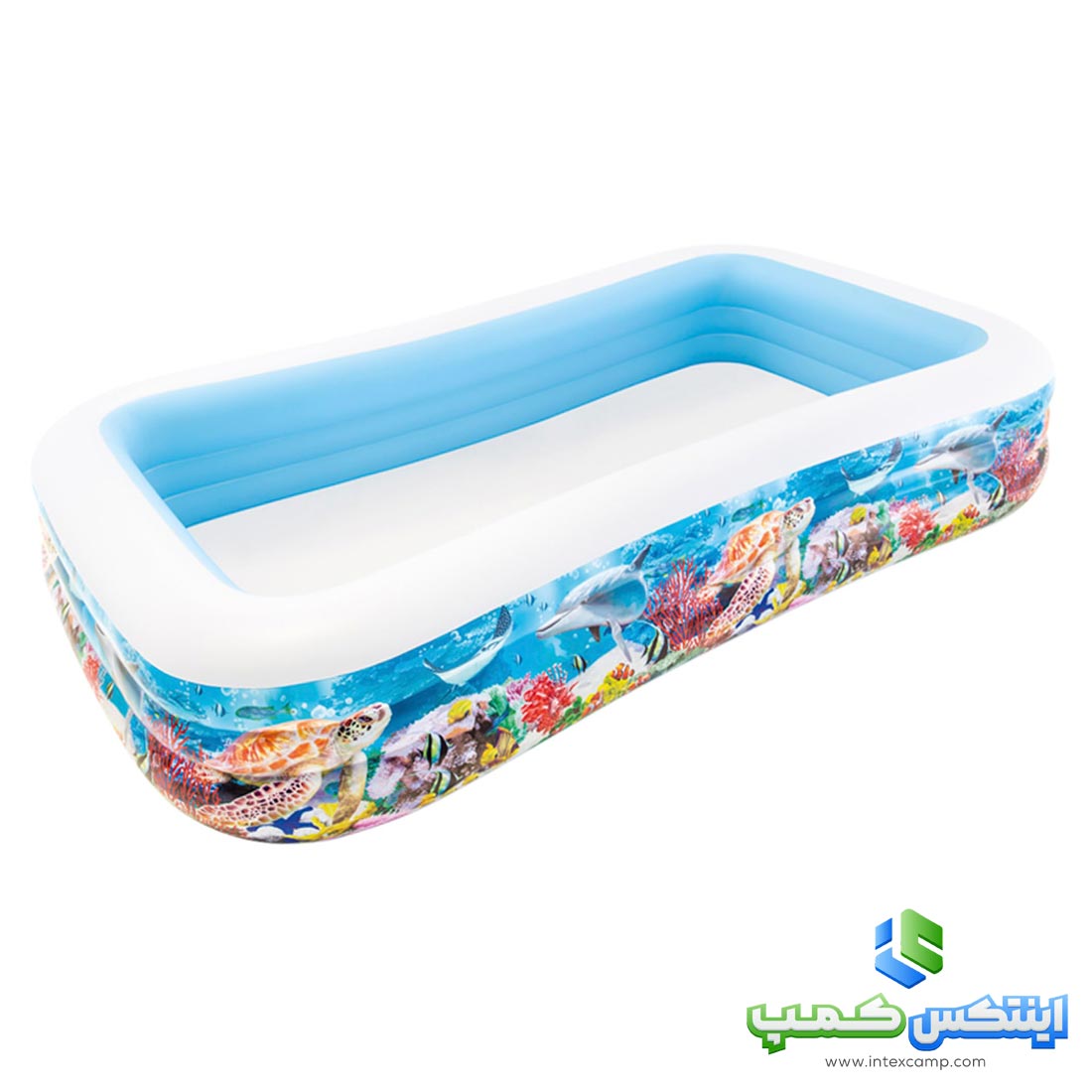 استخر بادی بزرگ خانوادگی اینتکس طرح اقیانوسی کد 58485