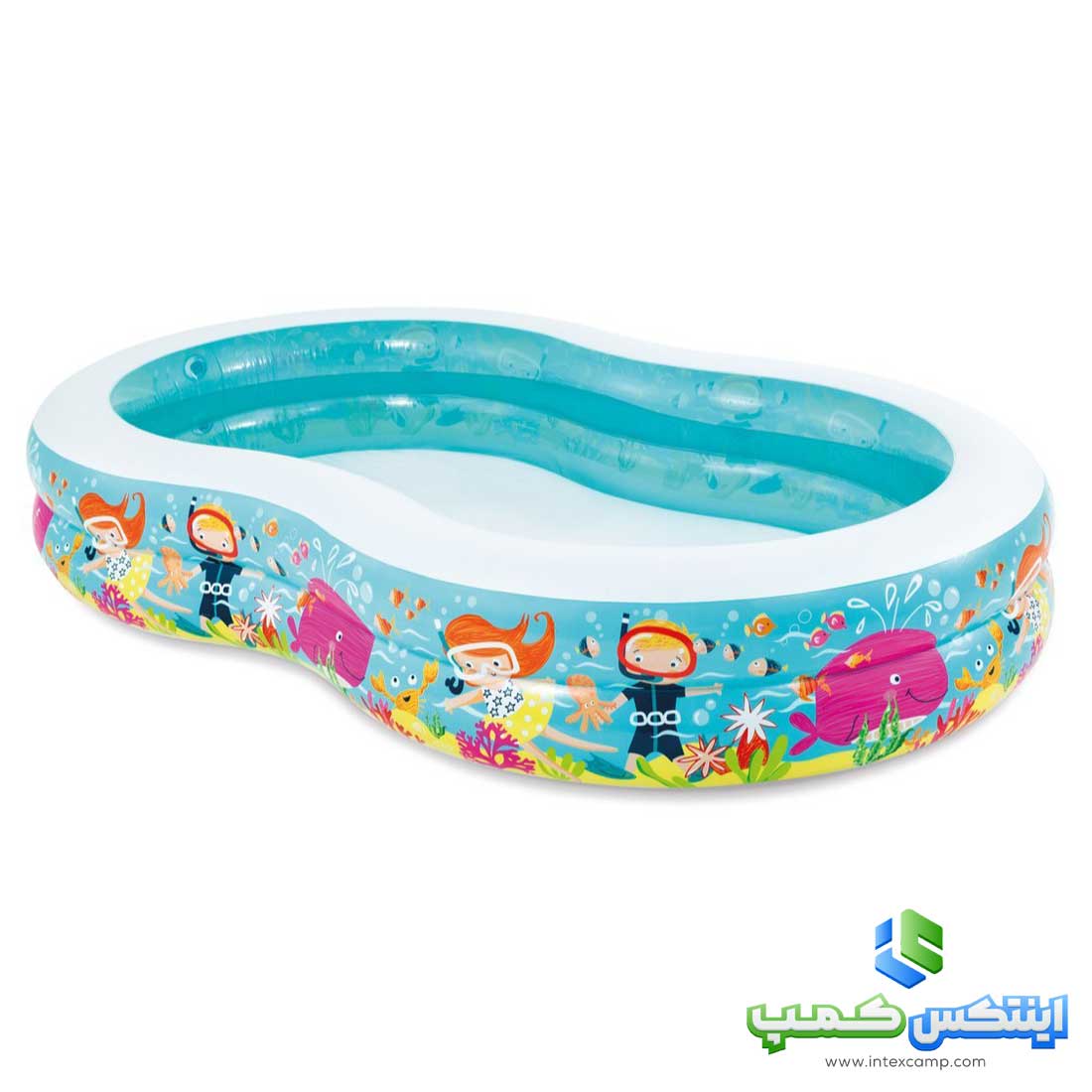 استخر بادی لوبیایی اینتکس کد 56490